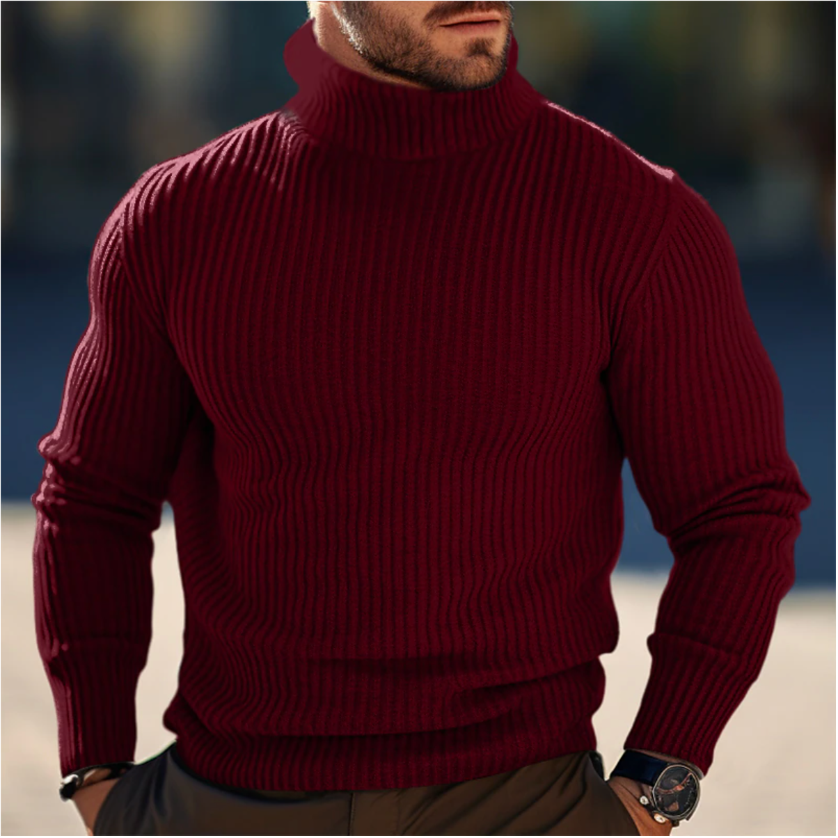 Fabien | Pull Col Roulé Tricoté pour Hommes