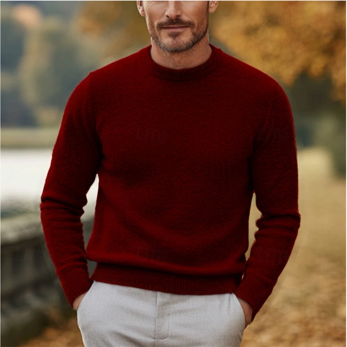 Lucien | Pull de Luxe pour Hommes
